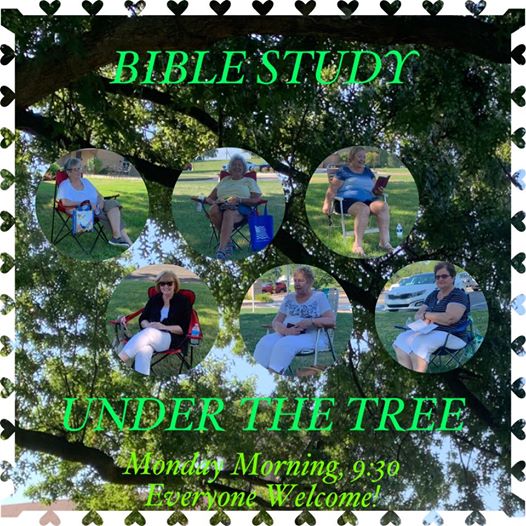 St. Barbara Ladies Guild Harrison City Bible Study under the tree