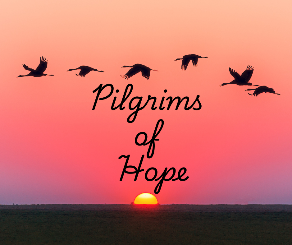 Pilgrims of Hope Picture